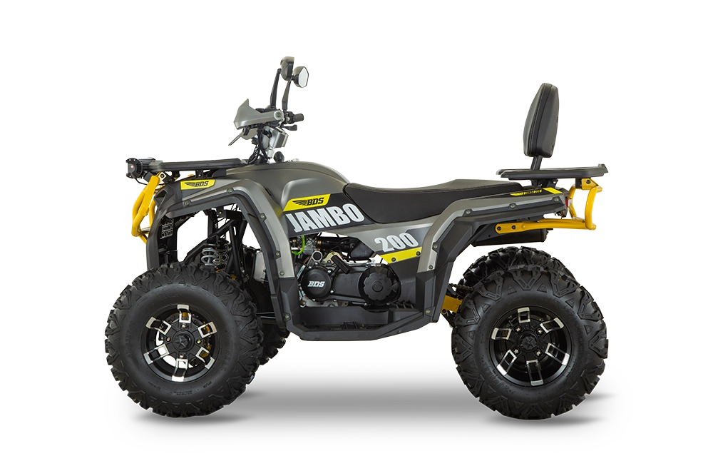 LATERAL IZQUIERDO copia