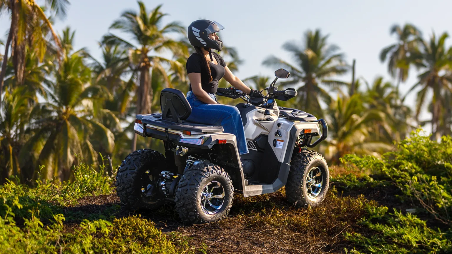 blog_vistete_para_rodar_carrusel