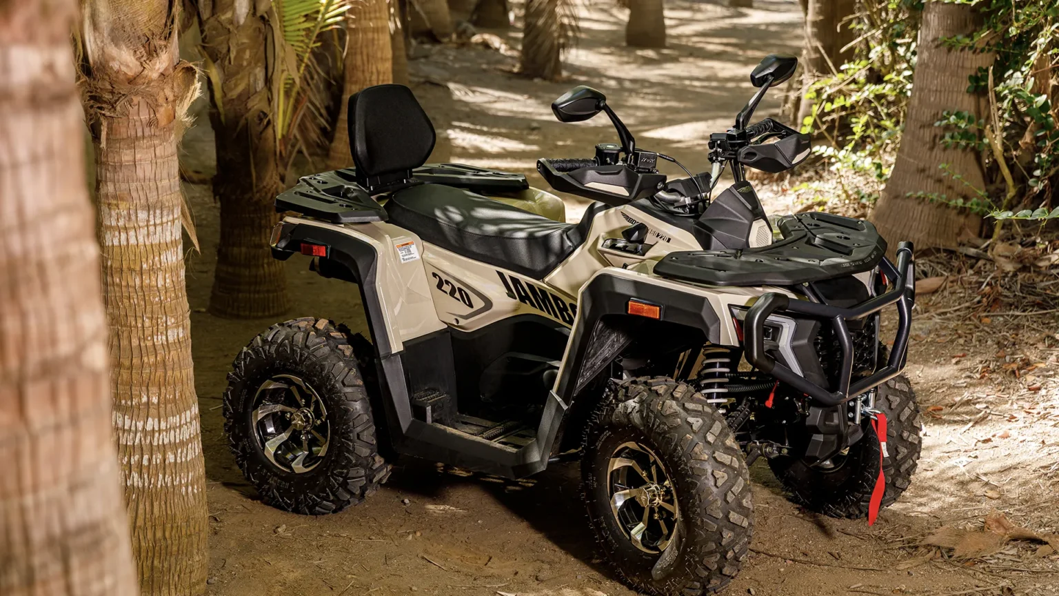 Cuatrimoto características que las hacen destacar